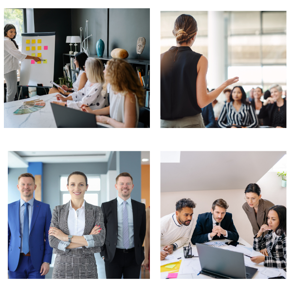 Louise Anne Maurice examples of collaborating with diverse teams across industries, demonstrating real world leadership experience.